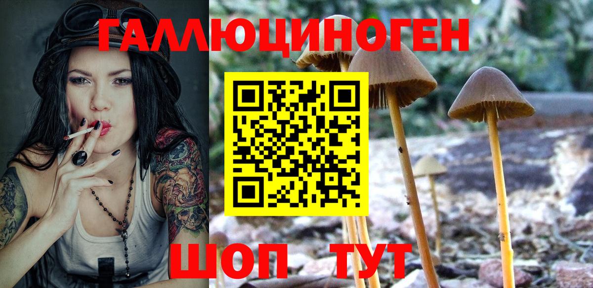 Псилоцибиновые грибы Psilocybine cubensis Моздок