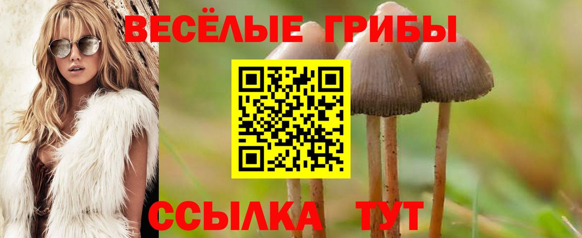 Гашиш Моздок